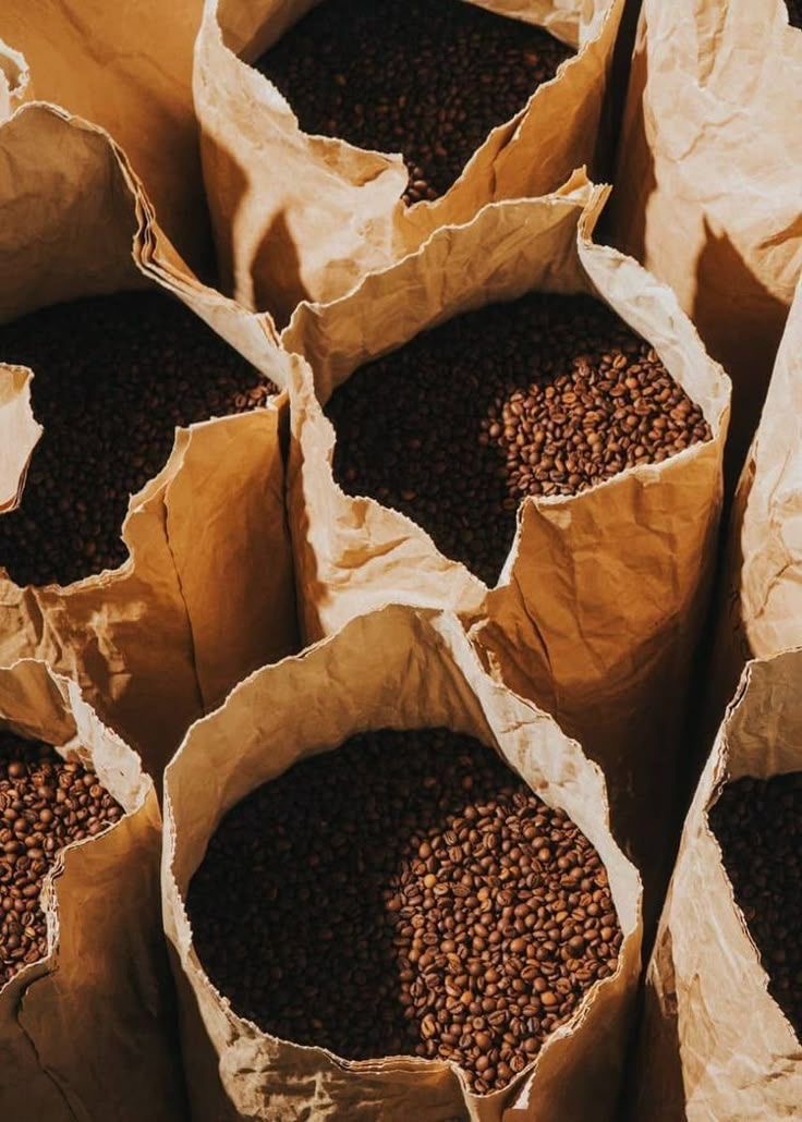 House Blend - naše speciální směs